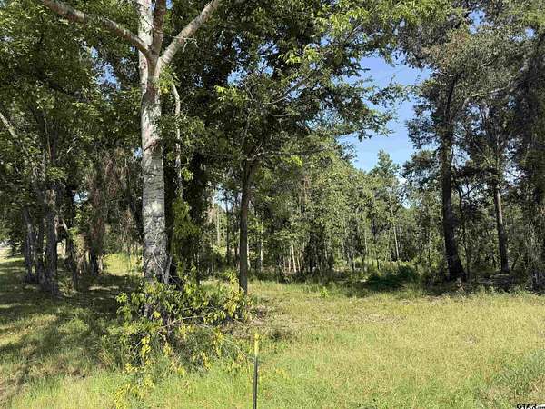 15.3 Acres of Recreational Land for Sale in Jacksonville, Texas