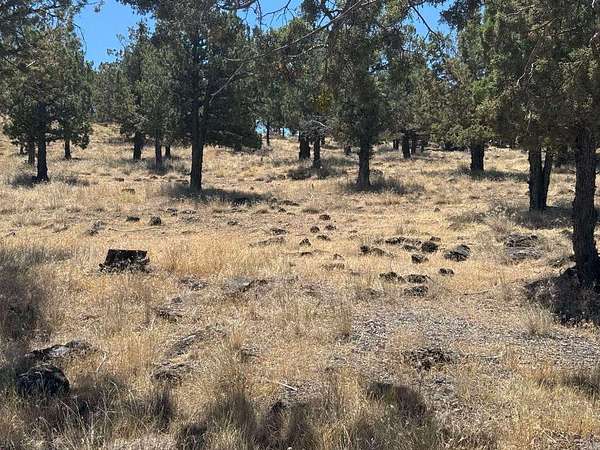 0.28 Acres of Land for Sale in Weed, California
