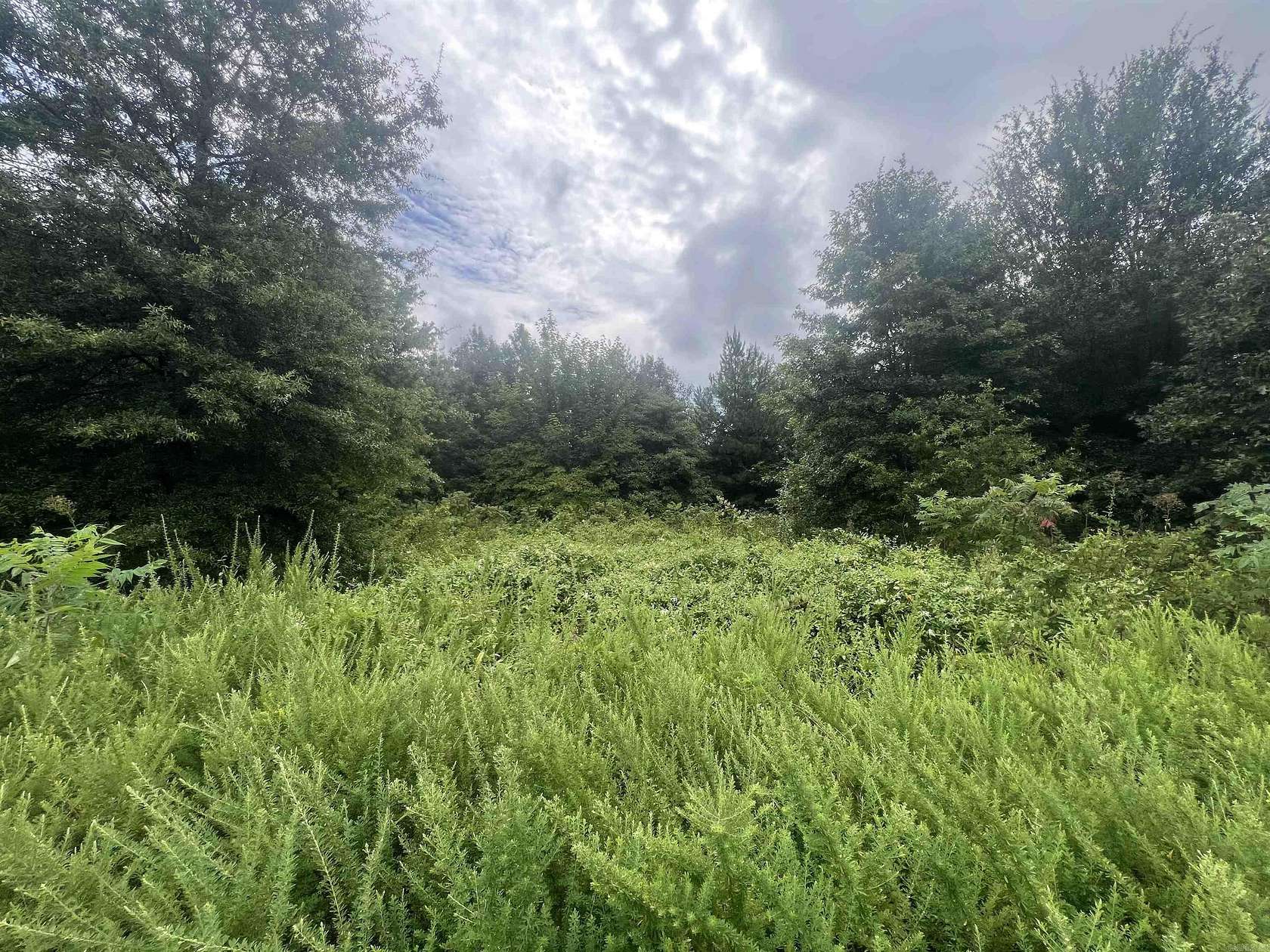 0.85 Acres of Land for Sale in Corning, Arkansas