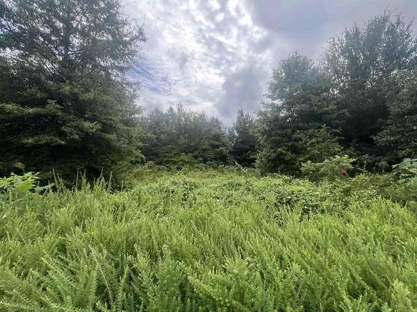 0.85 Acres of Land for Sale in Corning, Arkansas