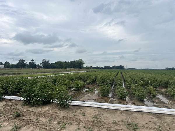 3 Acres of Commercial Land for Sale in McDougal, Arkansas