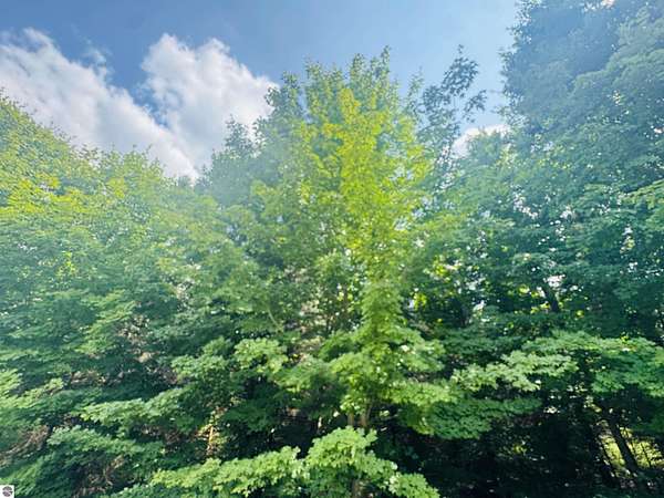 3.69 Acres of Residential Land for Sale in Tustin, Michigan