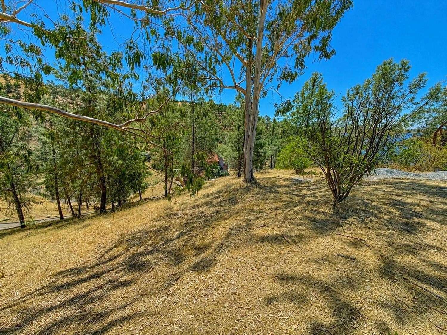 0.16 Acres of Residential Land for Sale in Friant, California
