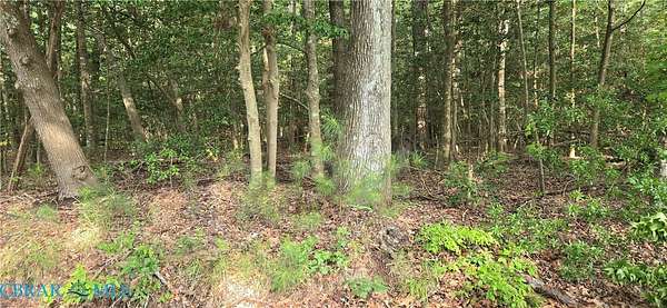 4.84 Acres of Residential Land for Sale in Gwynn, Virginia