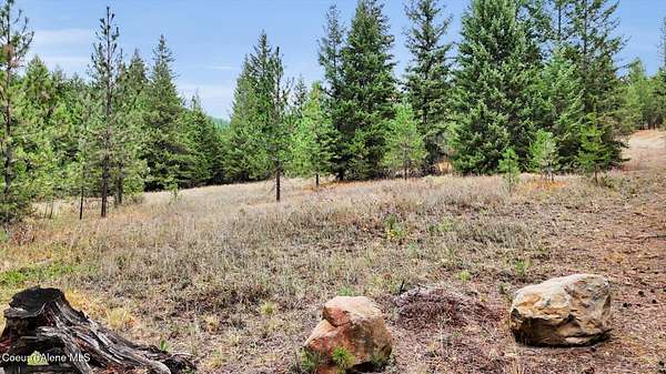 20 Acres of Recreational & Residential Land for Sale in Blanchard, Idaho