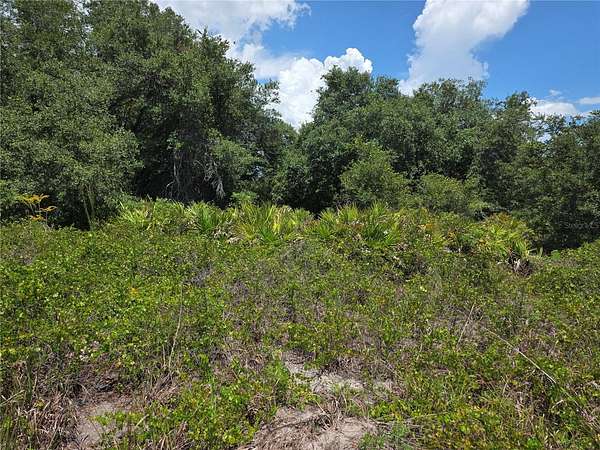 0.29 Acres of Residential Land for Sale in Punta Gorda, Florida