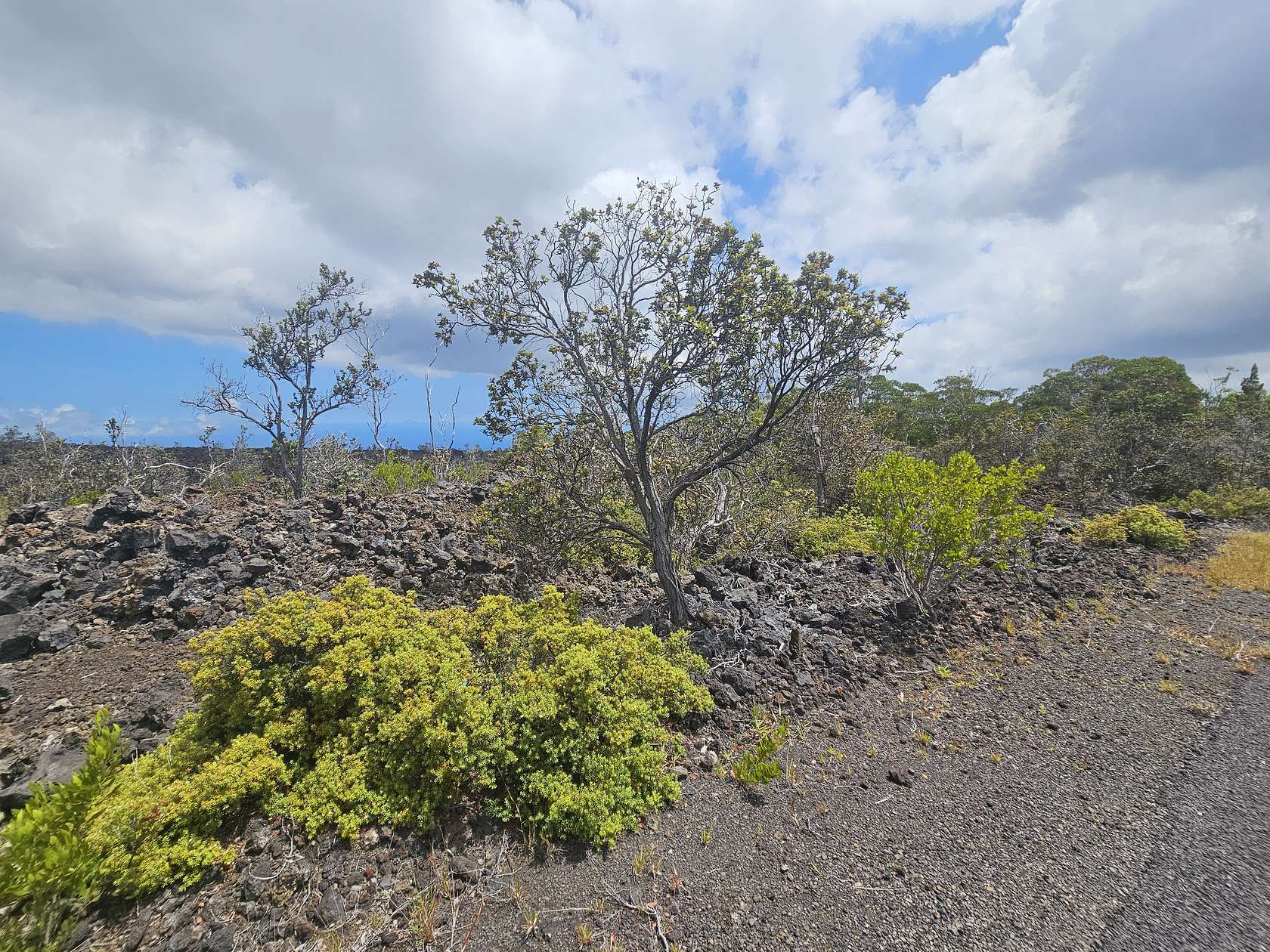 1 Acre of Residential Land for Sale in Hawaiian Ocean View, Hawaii