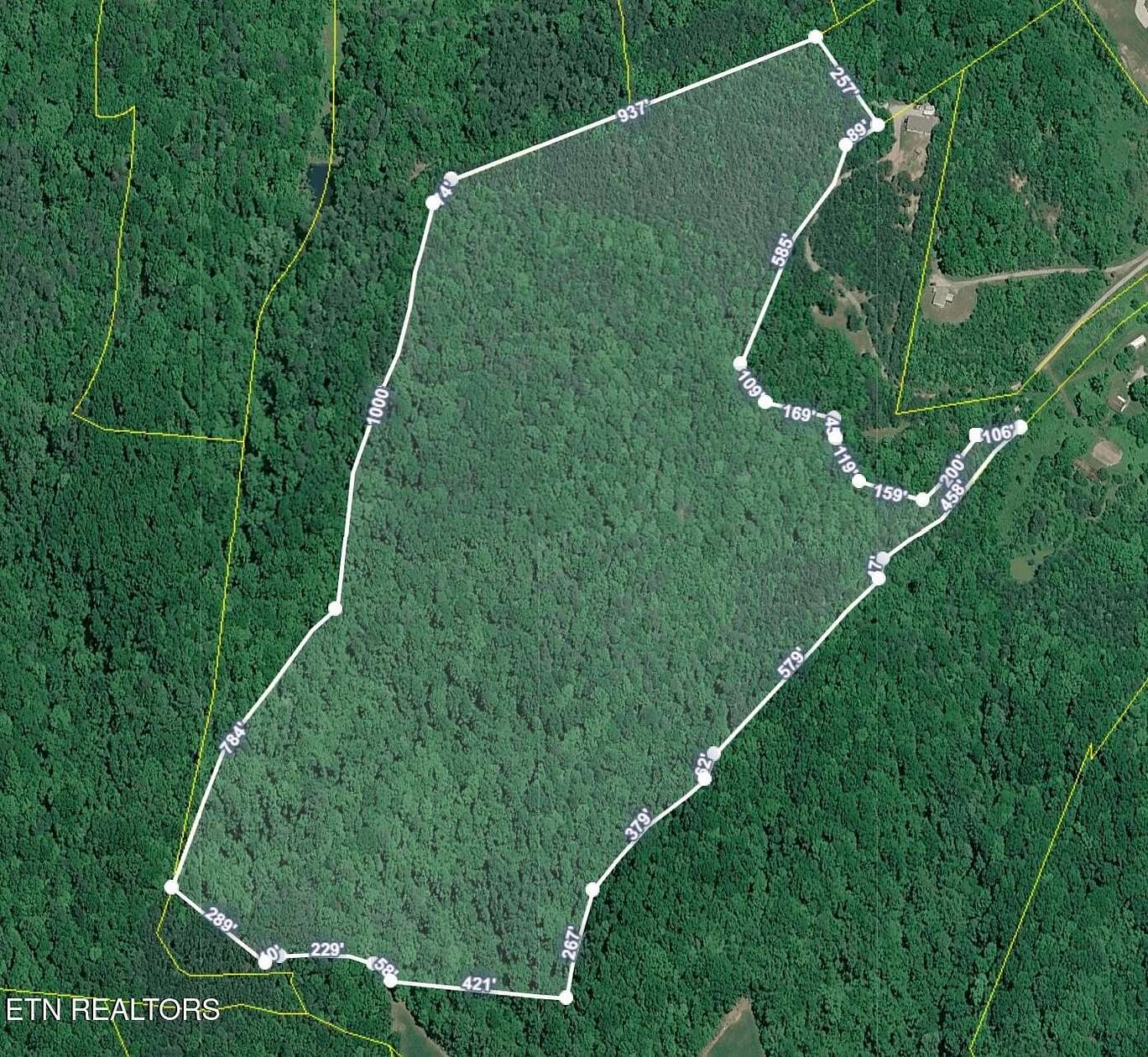 51.7 Acres of Recreational & Residential Land for Sale in Rutledge, Tennessee