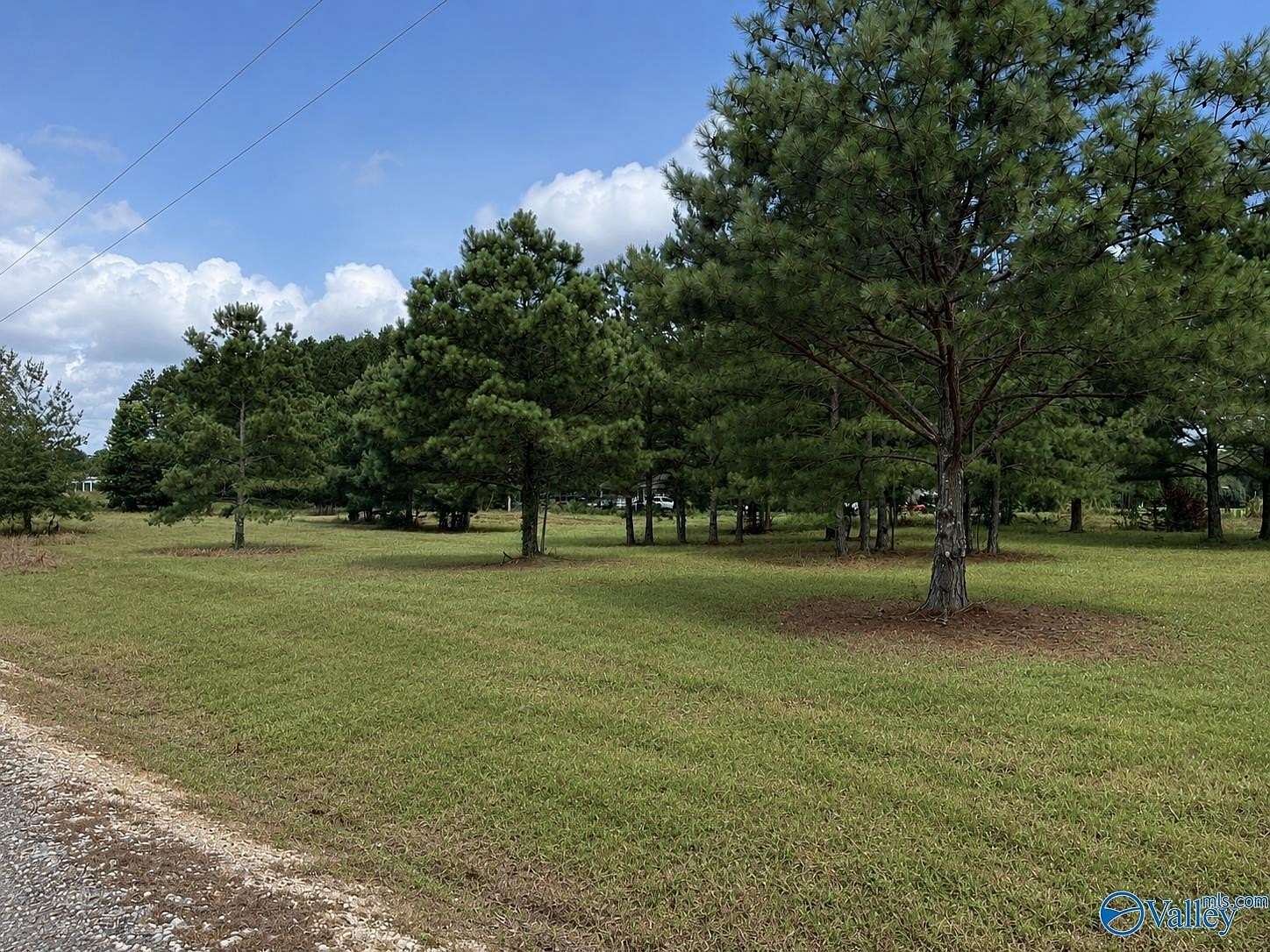 0.55 Acres of Residential Land for Sale in Centre, Alabama