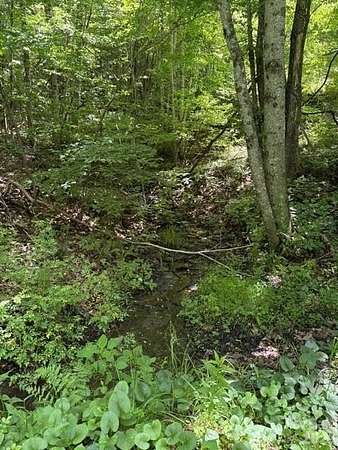 2 Acres of Residential Land for Sale in Warrensville, North Carolina