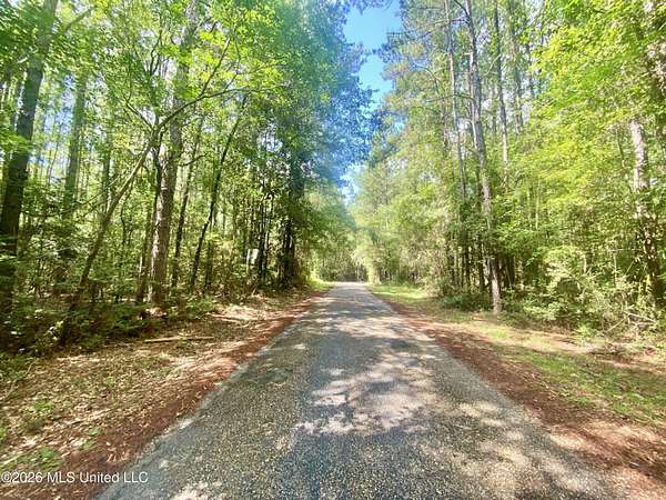 2 Acres of Land for Sale in Wiggins, Mississippi