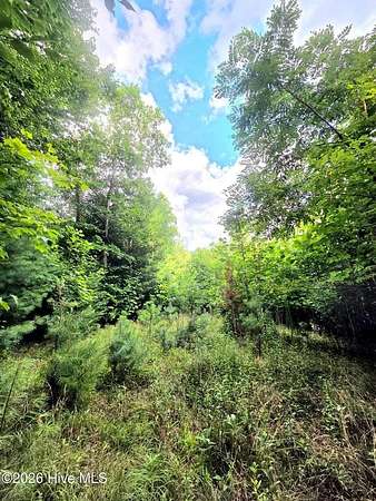 1 Acre of Residential Land for Sale in Topton, North Carolina