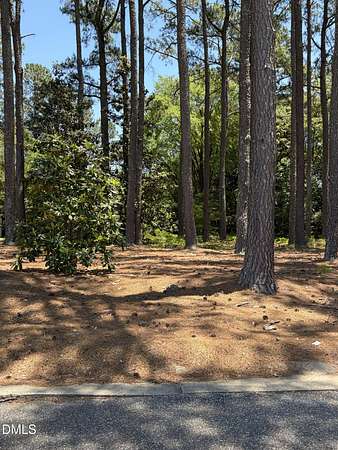 0.42 Acres of Residential Land for Auction in Dunn, North Carolina
