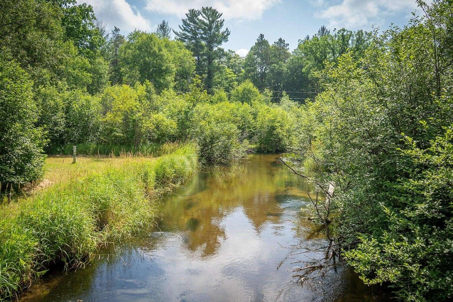 0.99 Acres of Land for Sale in Baldwin, Michigan