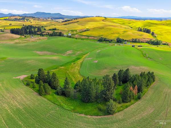 5 Acres of Residential Land for Sale in Moscow, Idaho