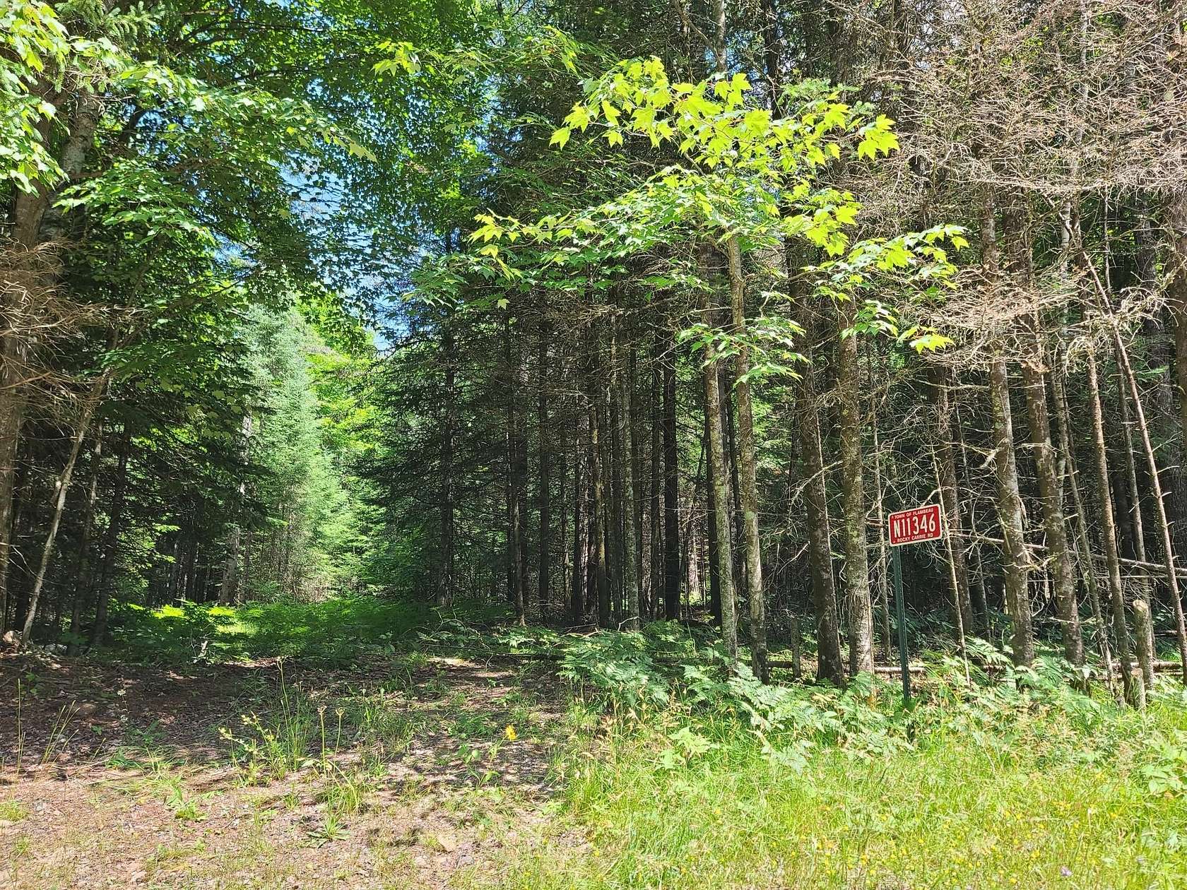 8 Acres of Recreational Land for Sale in Phillips, Wisconsin