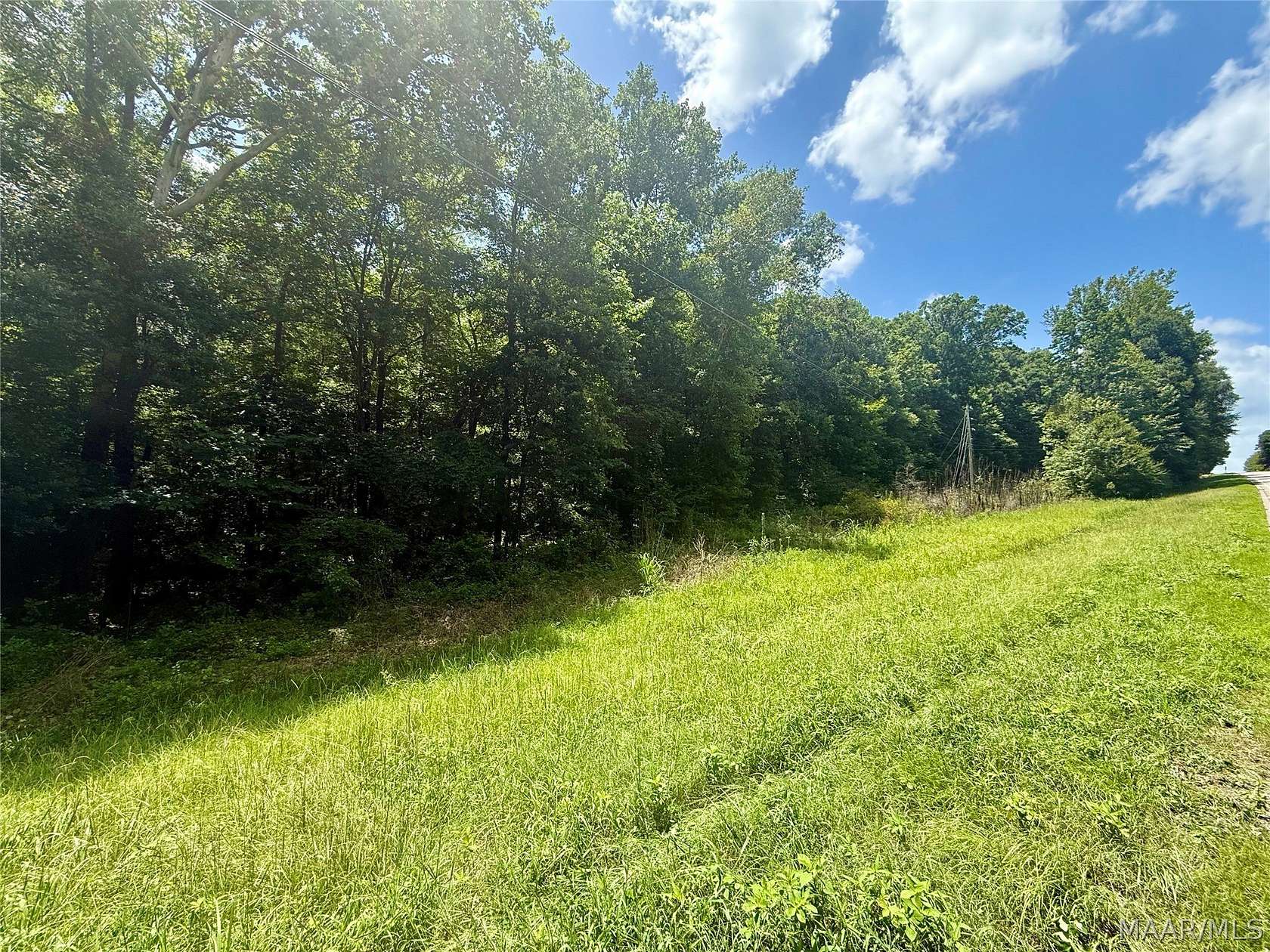 25 Acres of Agricultural Land for Sale in Autaugaville, Alabama