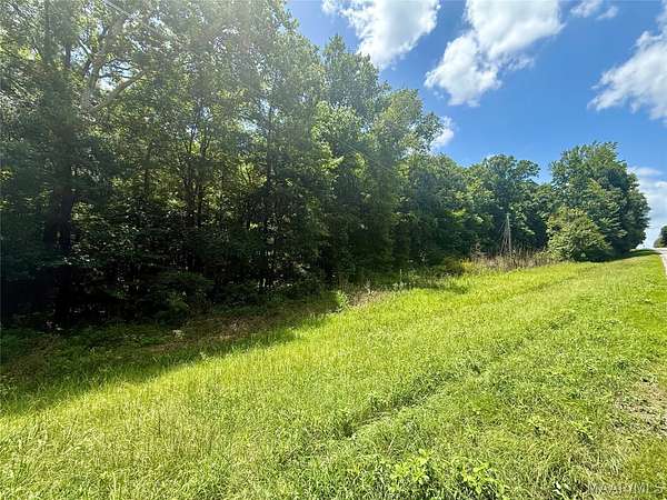25 Acres of Agricultural Land for Sale in Autaugaville, Alabama