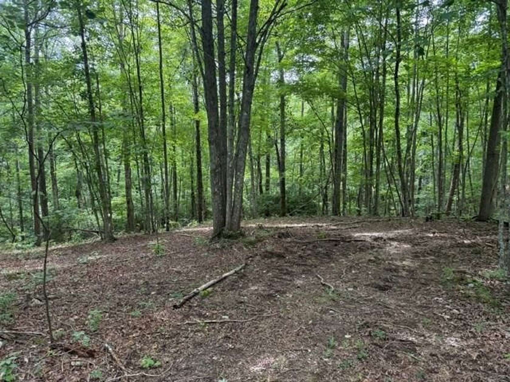 5.14 Acres of Recreational Land for Sale in South Pittsburg, Tennessee