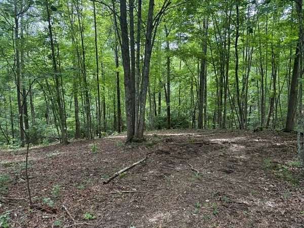 5.14 Acres of Recreational Land for Sale in South Pittsburg, Tennessee