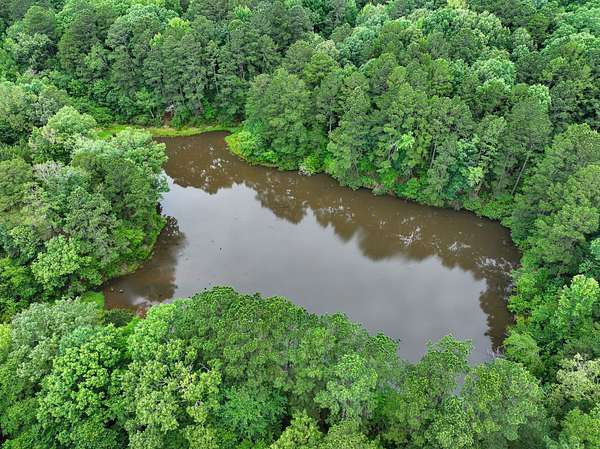 158 Acres of Recreational Land for Sale in Waldo, Arkansas