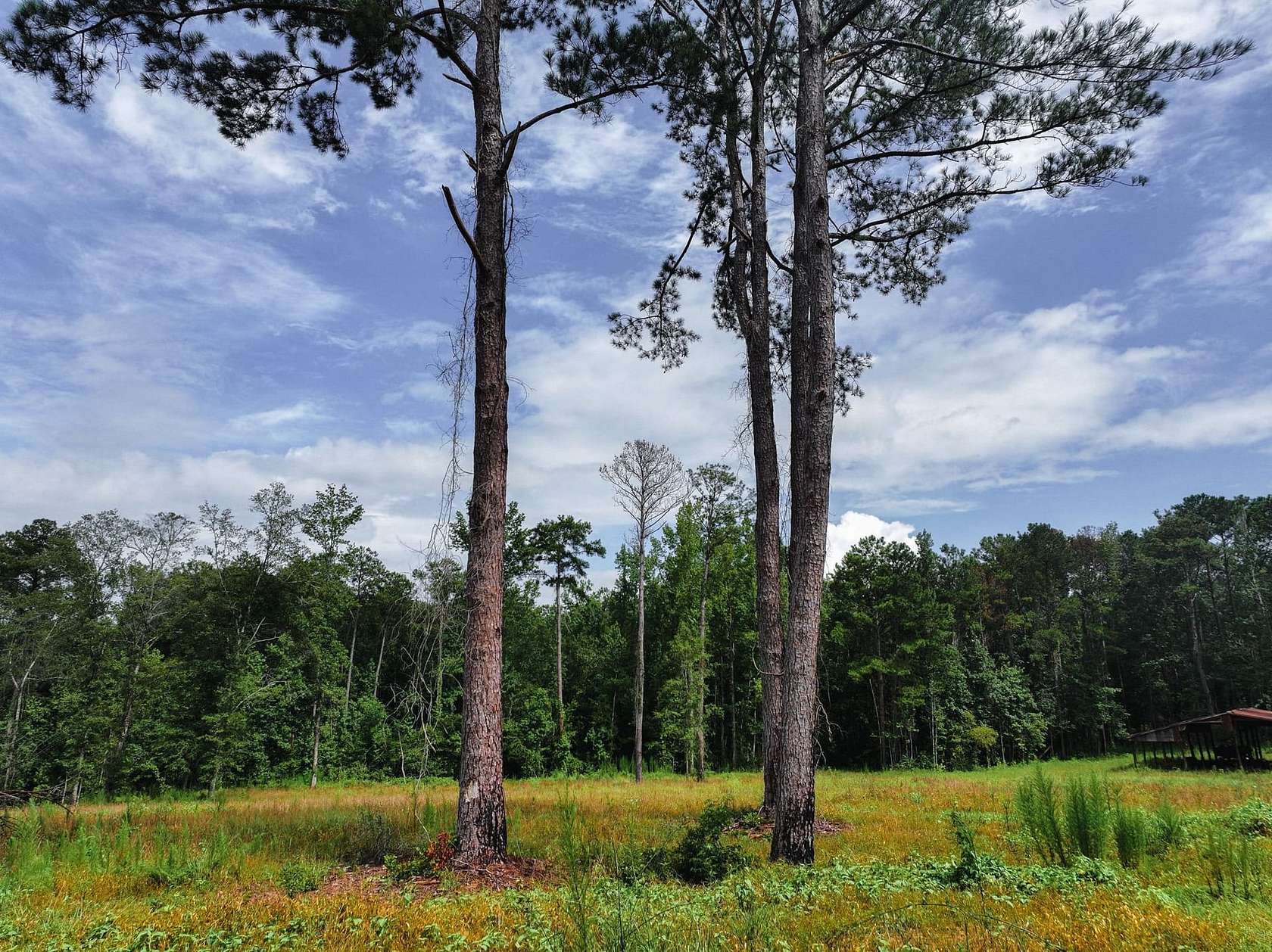 4.5 Acres of Land for Sale in Auburn, Alabama