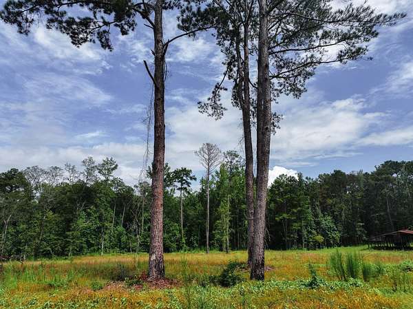 4.5 Acres of Land for Sale in Auburn, Alabama