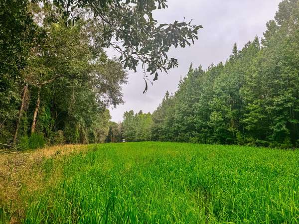 41 Acres of Land for Sale in Auburn, Alabama