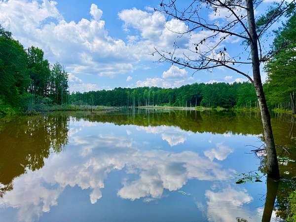 35 Acres of Improved Recreational Land for Sale in Reynolds, Georgia