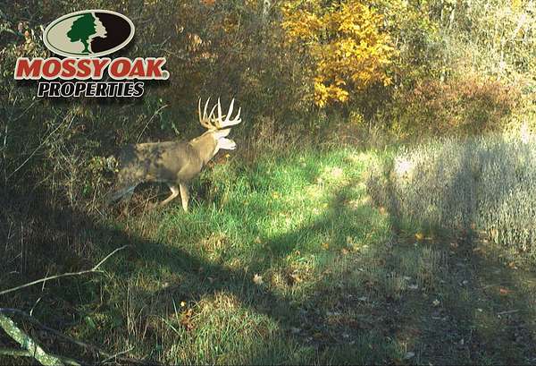 51 Acres of Recreational Land for Sale in Albany, Indiana