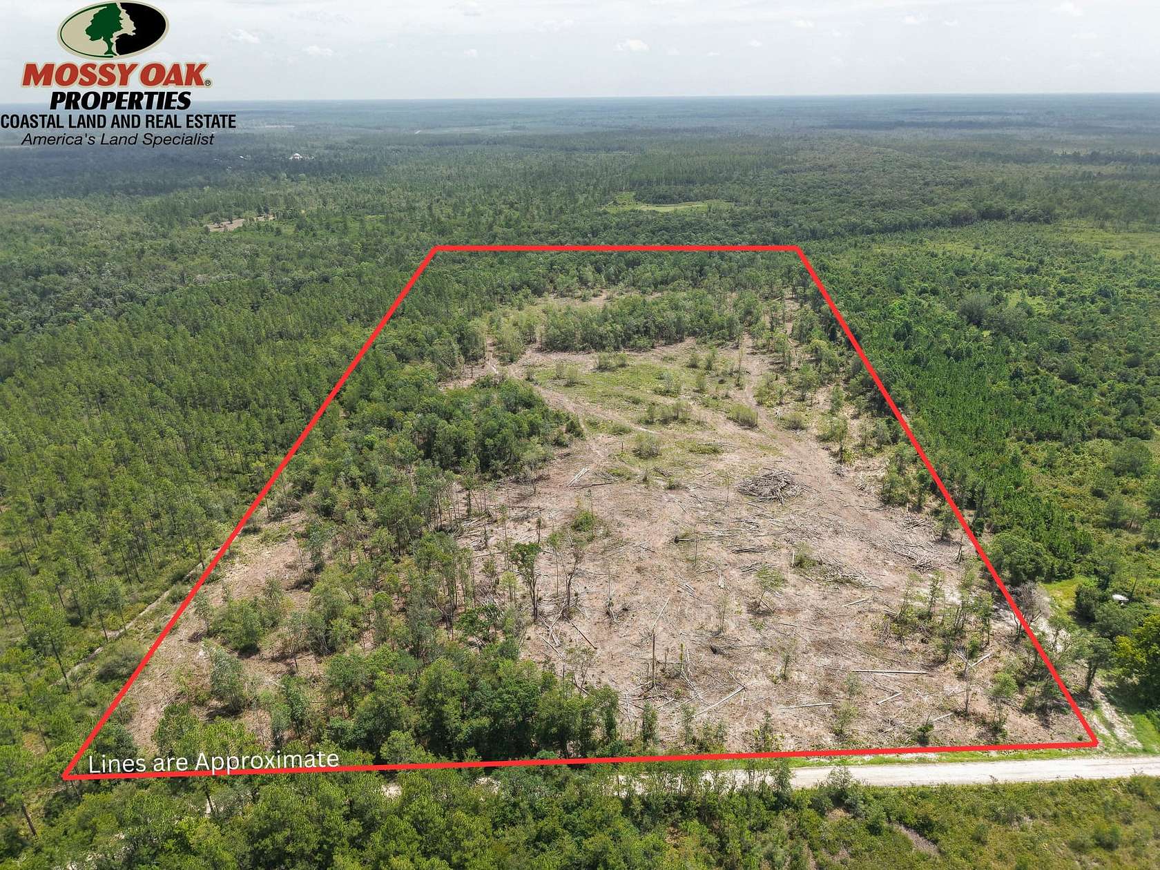 35.3 Acres of Recreational Land for Sale in Manor, Georgia