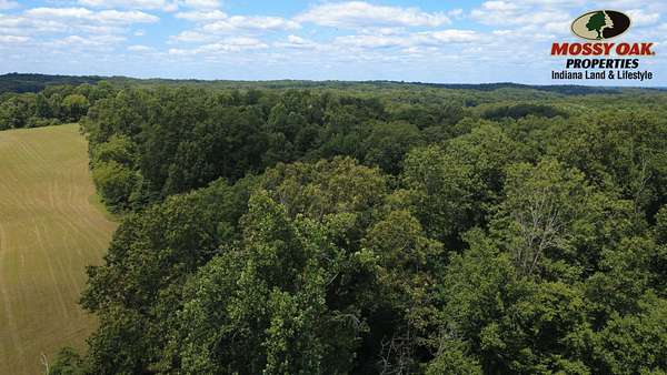 80 Acres of Recreational Land for Sale in Bloomfield, Indiana