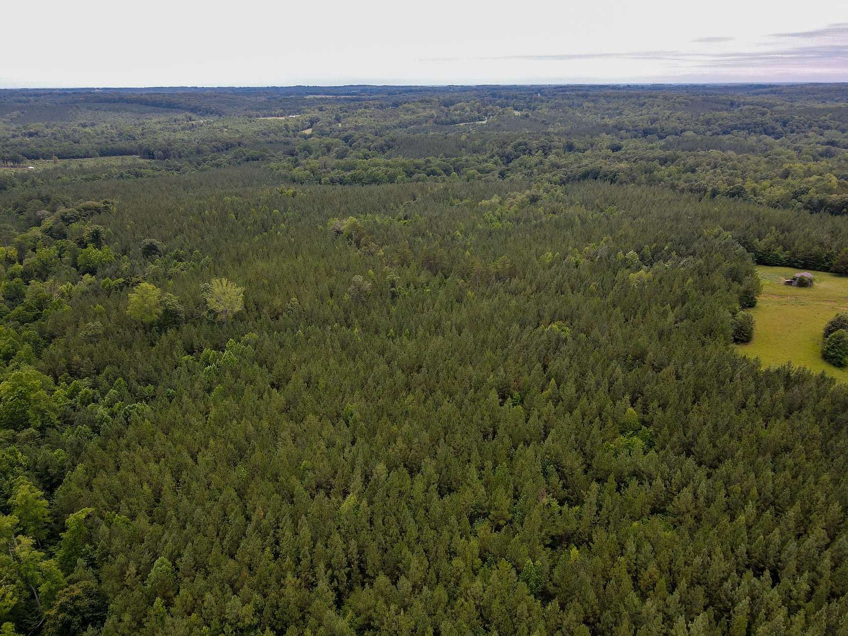 15.4 Acres of Land for Sale in Vernon Hill, Virginia