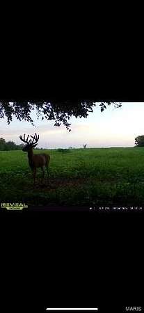 66.9 Acres of Land for Sale in Bellflower, Missouri