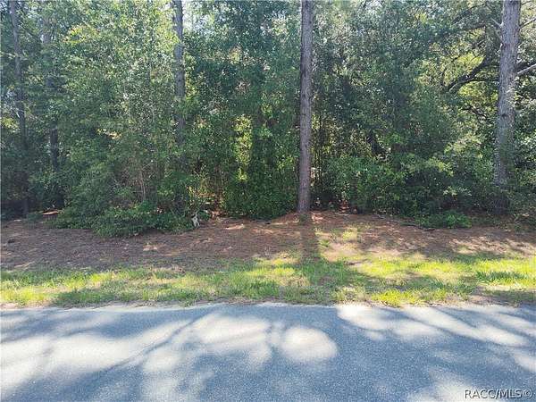 0.23 Acres of Residential Land for Sale in Crystal River, Florida