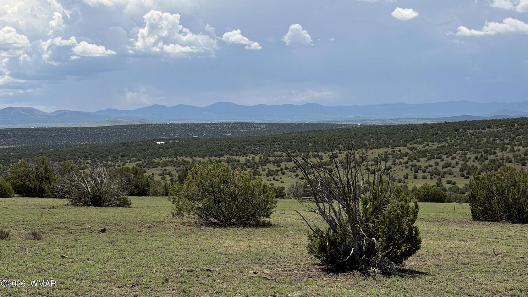 37.4 Acres of Land for Sale in Concho, Arizona