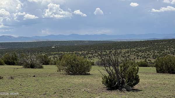 37.4 Acres of Land for Sale in Concho, Arizona