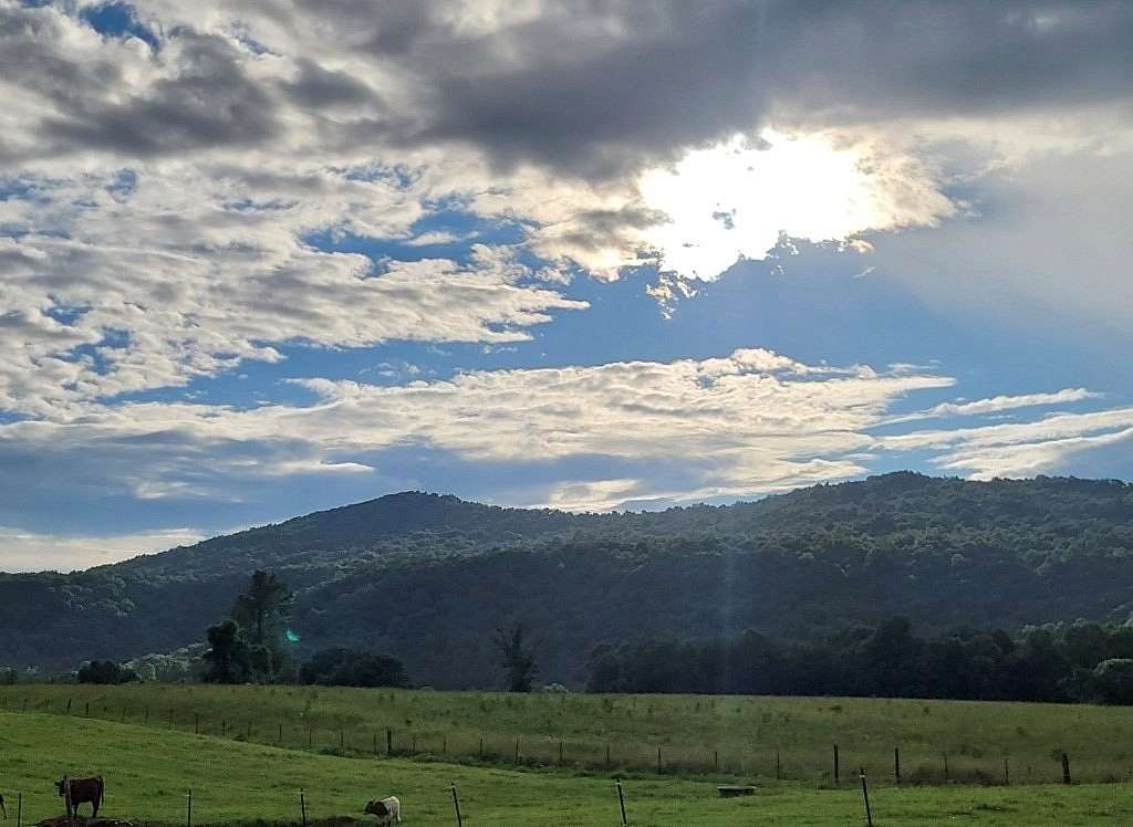 15 Acres of Recreational & Residential Land for Sale in Crawford, Tennessee