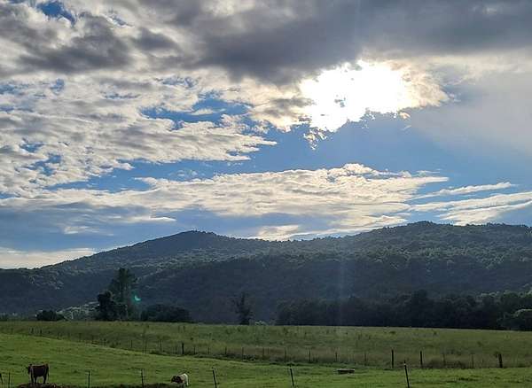 15 Acres of Recreational & Residential Land for Sale in Crawford, Tennessee