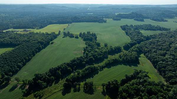98 Acres of Land for Sale in Osseo, Wisconsin
