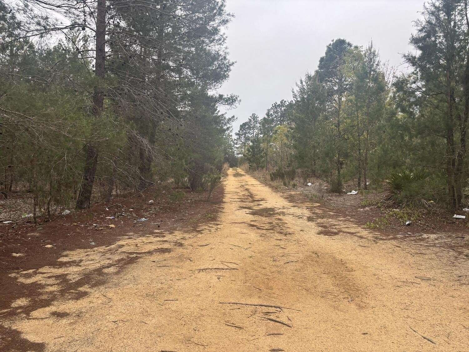 0.2 Acres of Residential Land for Sale in Interlachen, Florida