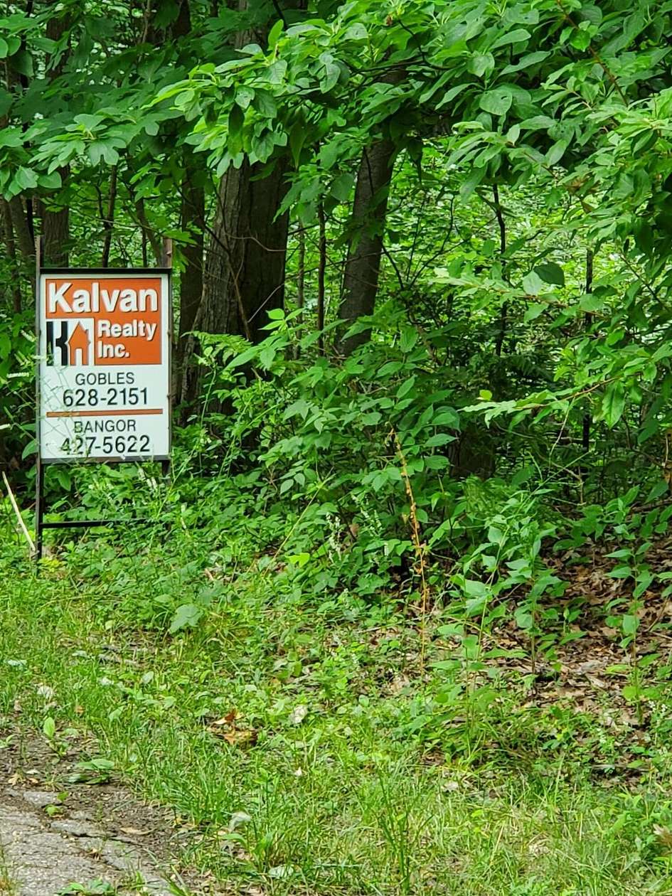 0.7 Acres of Land for Sale in Gobles, Michigan