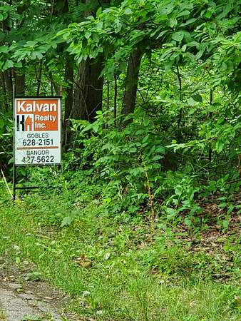 0.7 Acres of Land for Sale in Gobles, Michigan