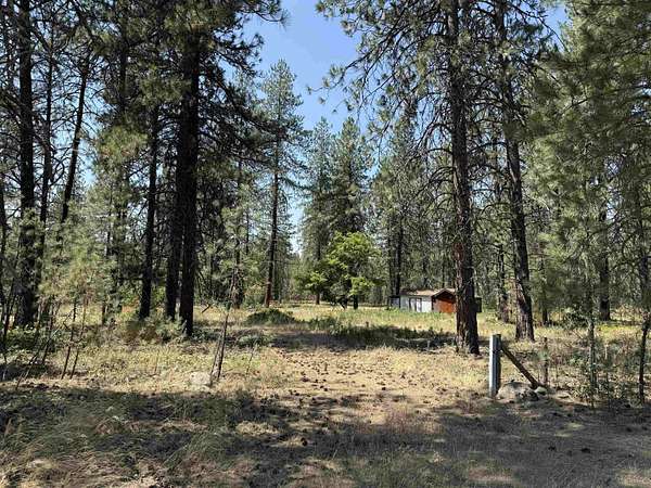 11.8 Acres of Recreational & Residential Land for Sale in Chattaroy, Washington