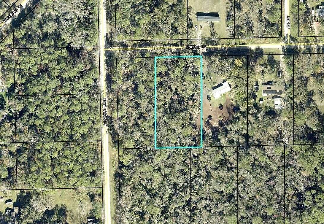 1.19 Acres of Land for Sale in Bunnell, Florida