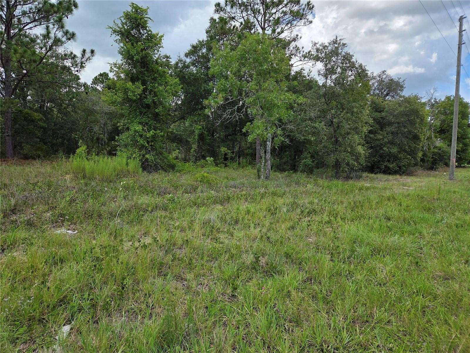 0.46 Acres of Land for Sale in Williston, Florida