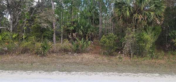 1.2 Acres of Residential Land for Sale in Weeki Wachee, Florida