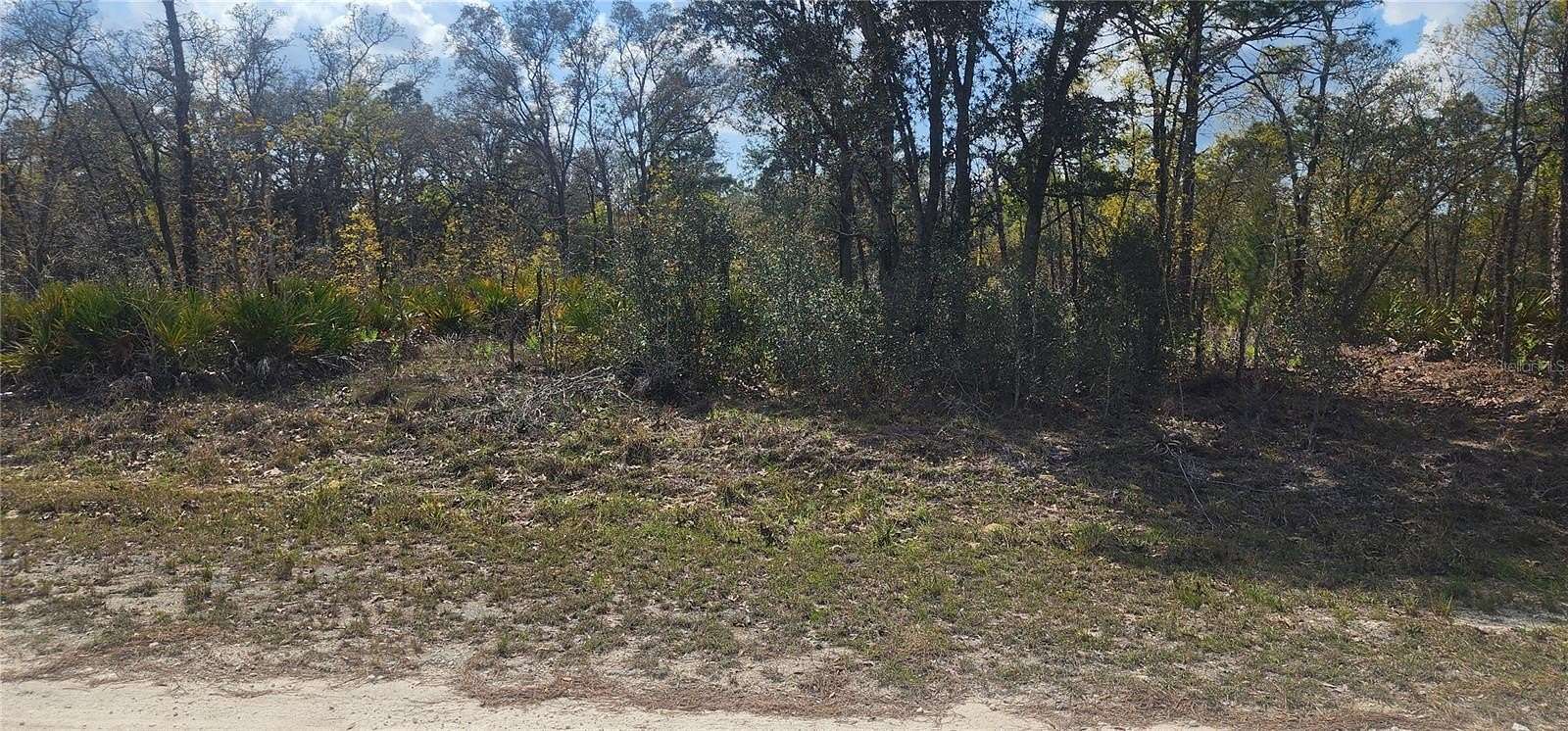 1.2 Acres of Residential Land for Sale in Weeki Wachee, Florida