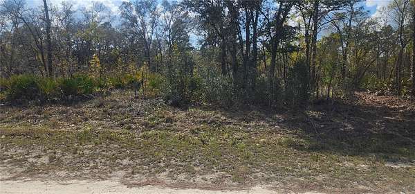 1.2 Acres of Residential Land for Sale in Weeki Wachee, Florida