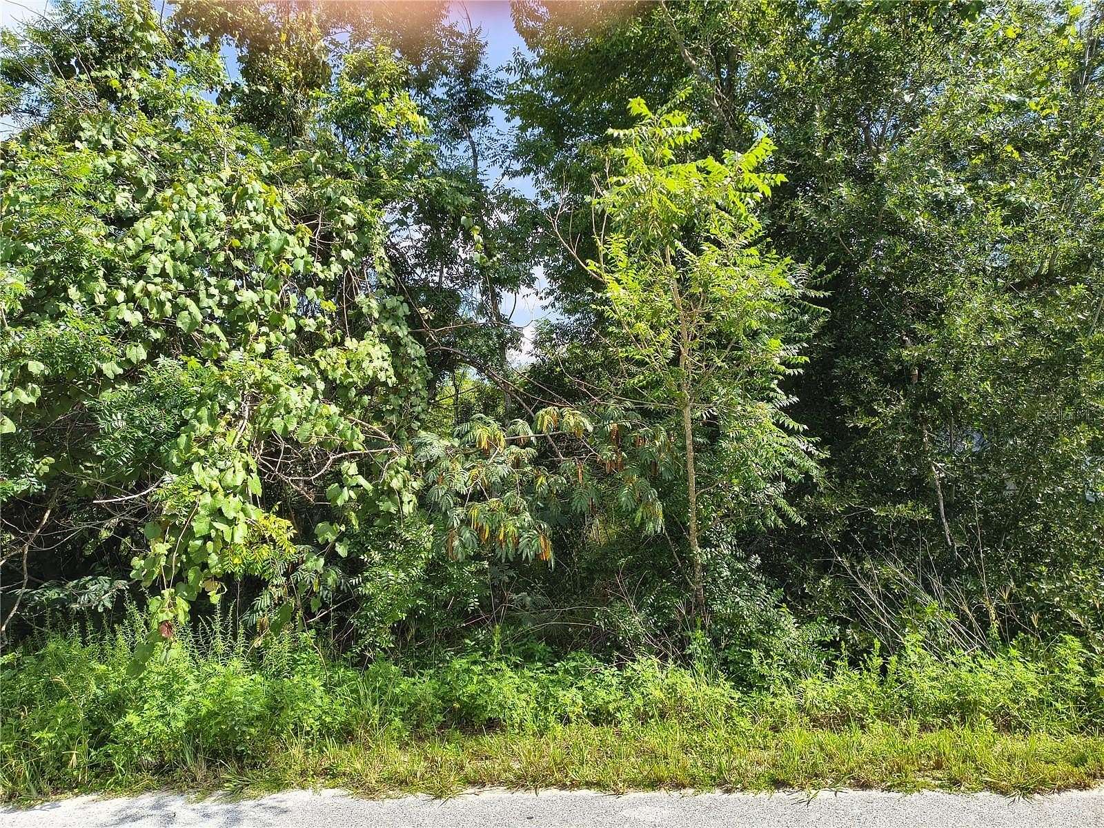 0.17 Acres of Residential Land for Sale in Ocala, Florida